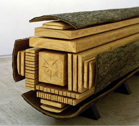 Tree cut into lumber